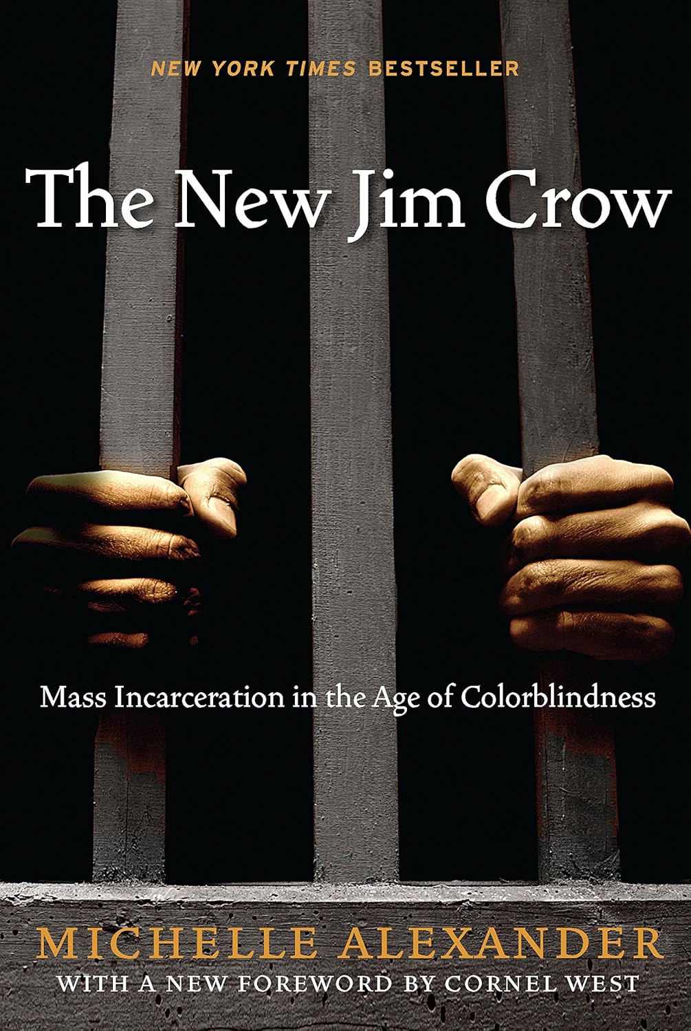 The New Jim Crow (First Edition)